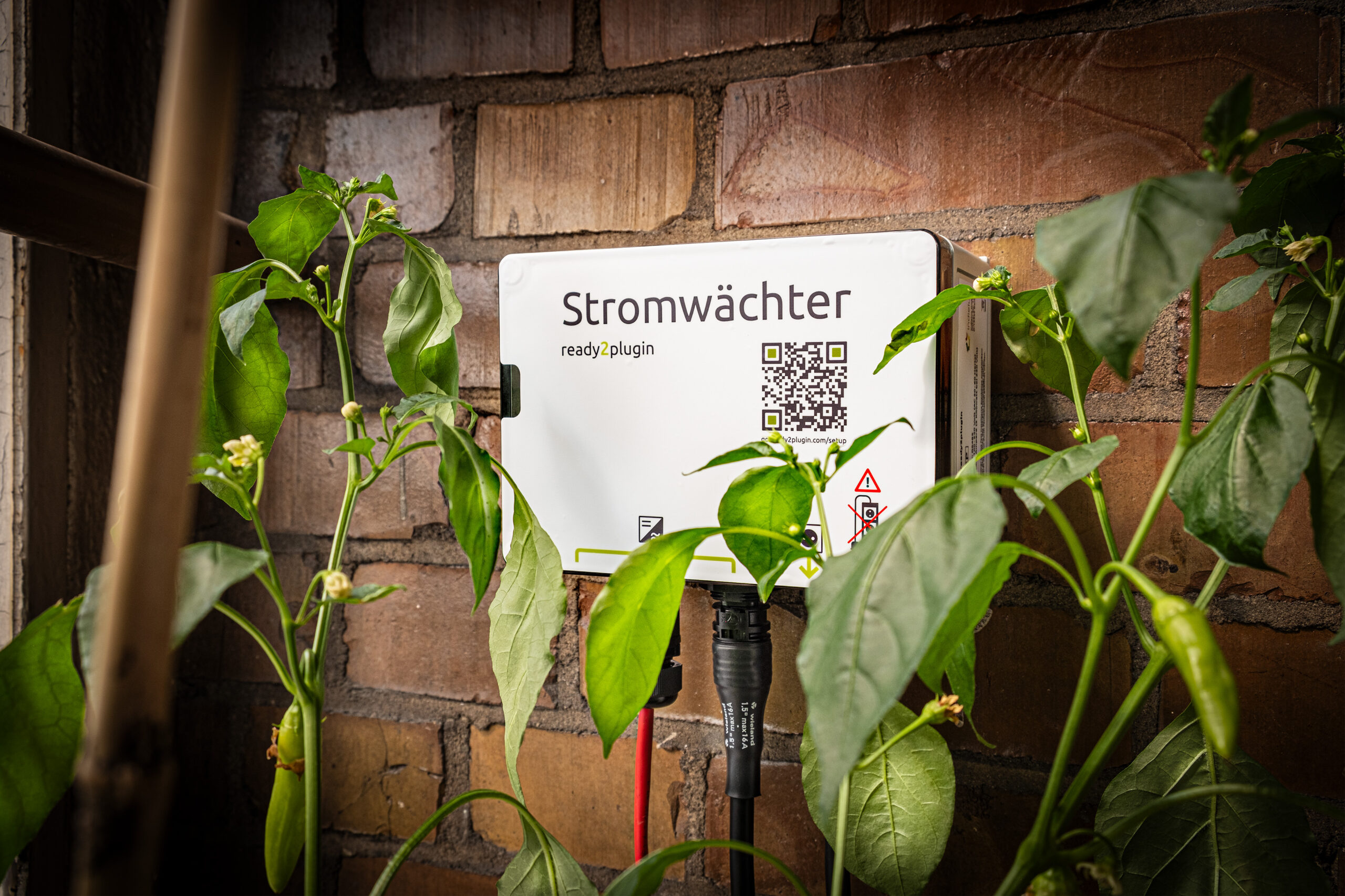 ready2plugin Stromwächter – Bild 6